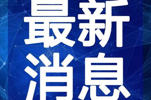 丹东饭店爆料视频最新版,揭露惊人内幕,真相令人震惊